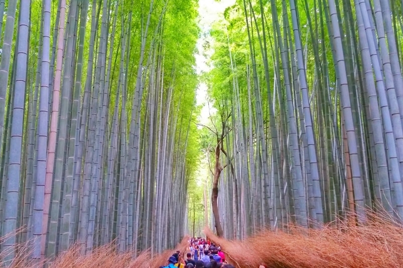 Où aller au Japon en été ?