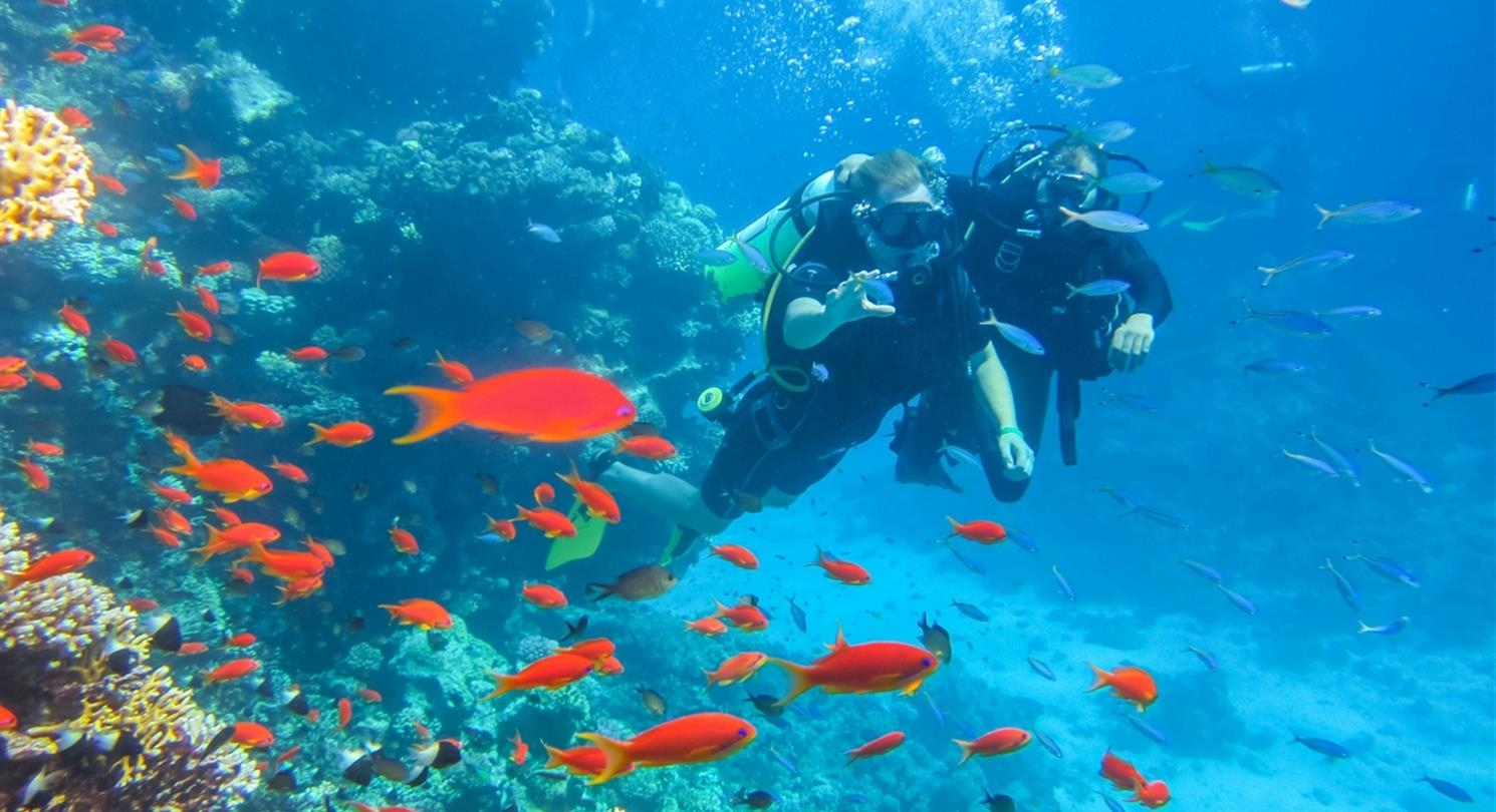 Quels poissons aux Iles Lavezzi ?