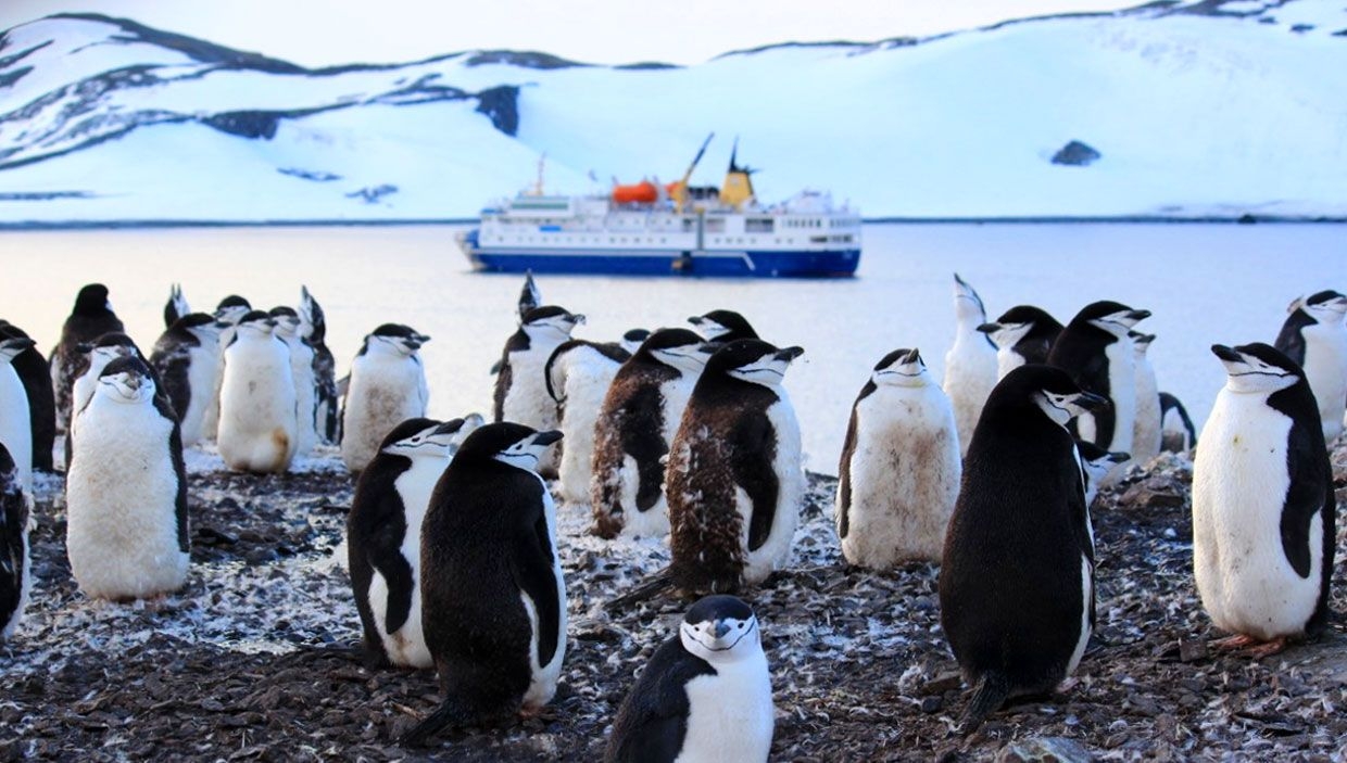 Pourquoi il fait froid en Antarctique ?