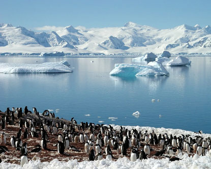 Quel est le prix de la croisière du Ponant en Antarctique ?