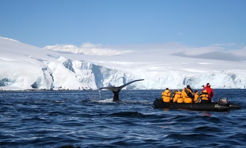 Comment visiter le pôle Nord ?