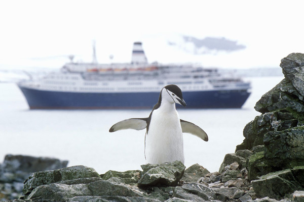 Où partir en Croisière en Antarctique ?